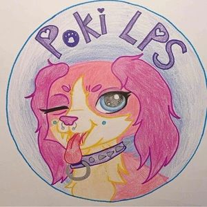 Meet your Posher, Poki